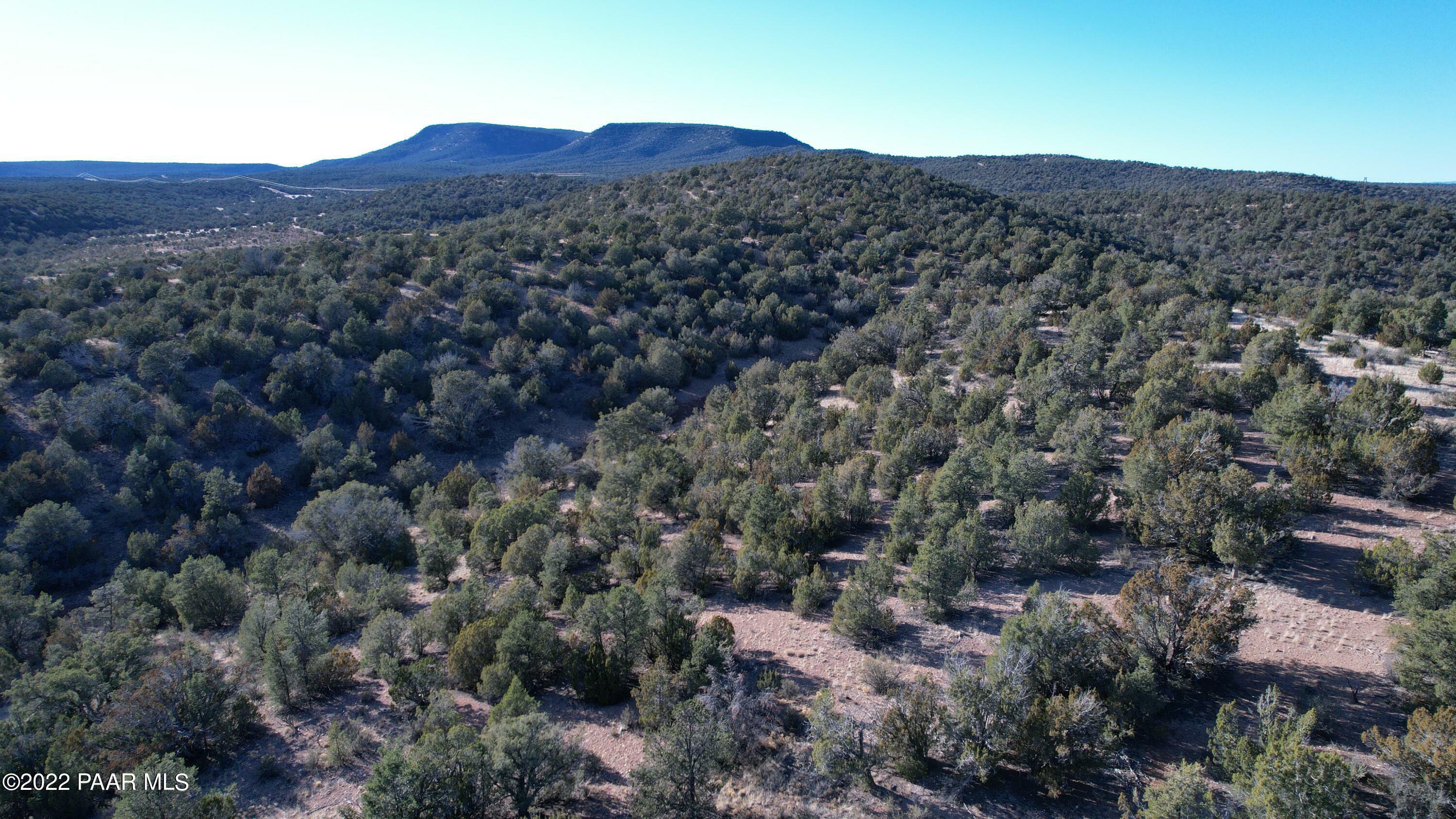 Property Photo:  51874 N Cordero Road  AZ 86337 