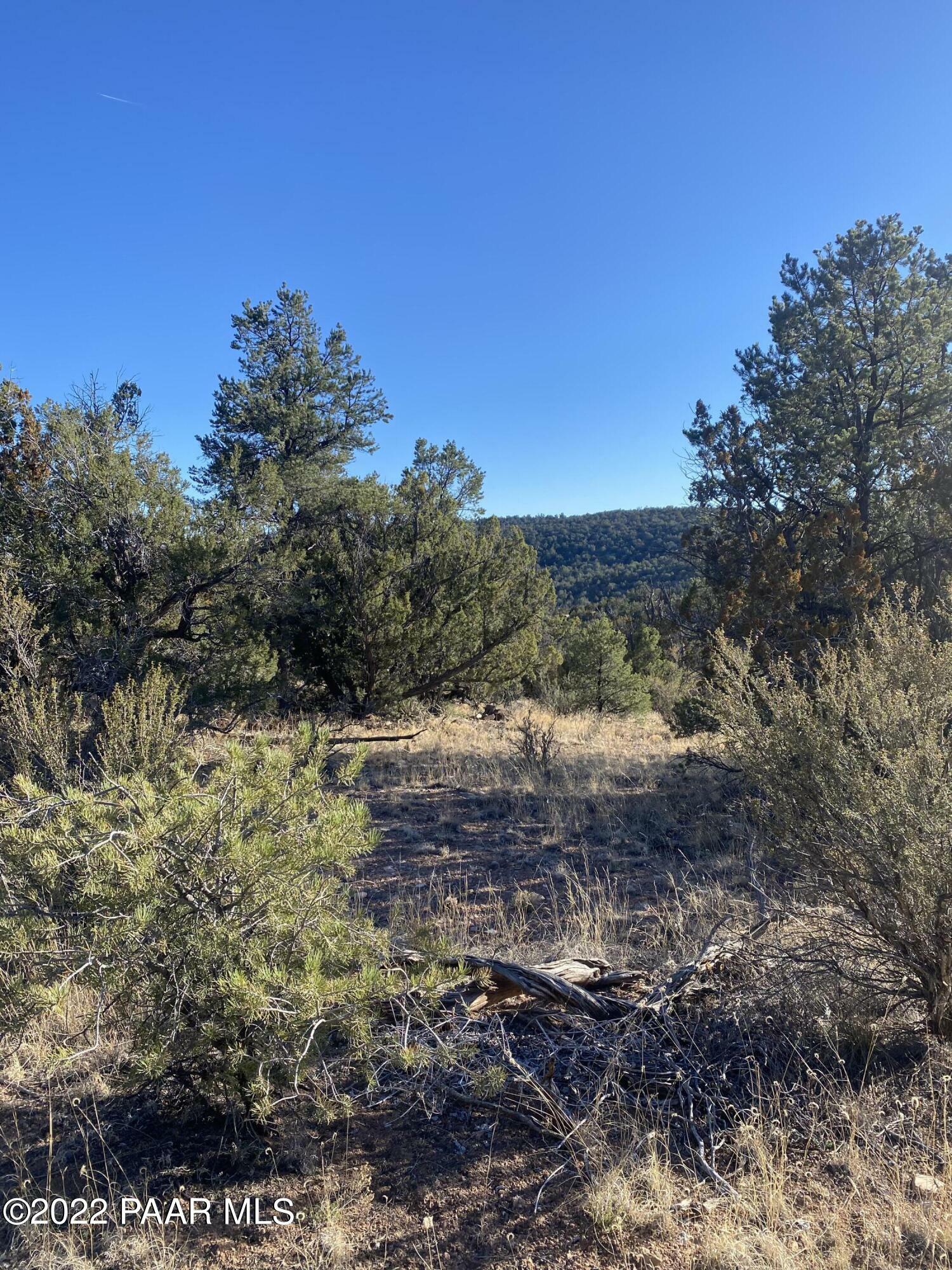 Property Photo:  51804 N Cordero Road  AZ 86337 