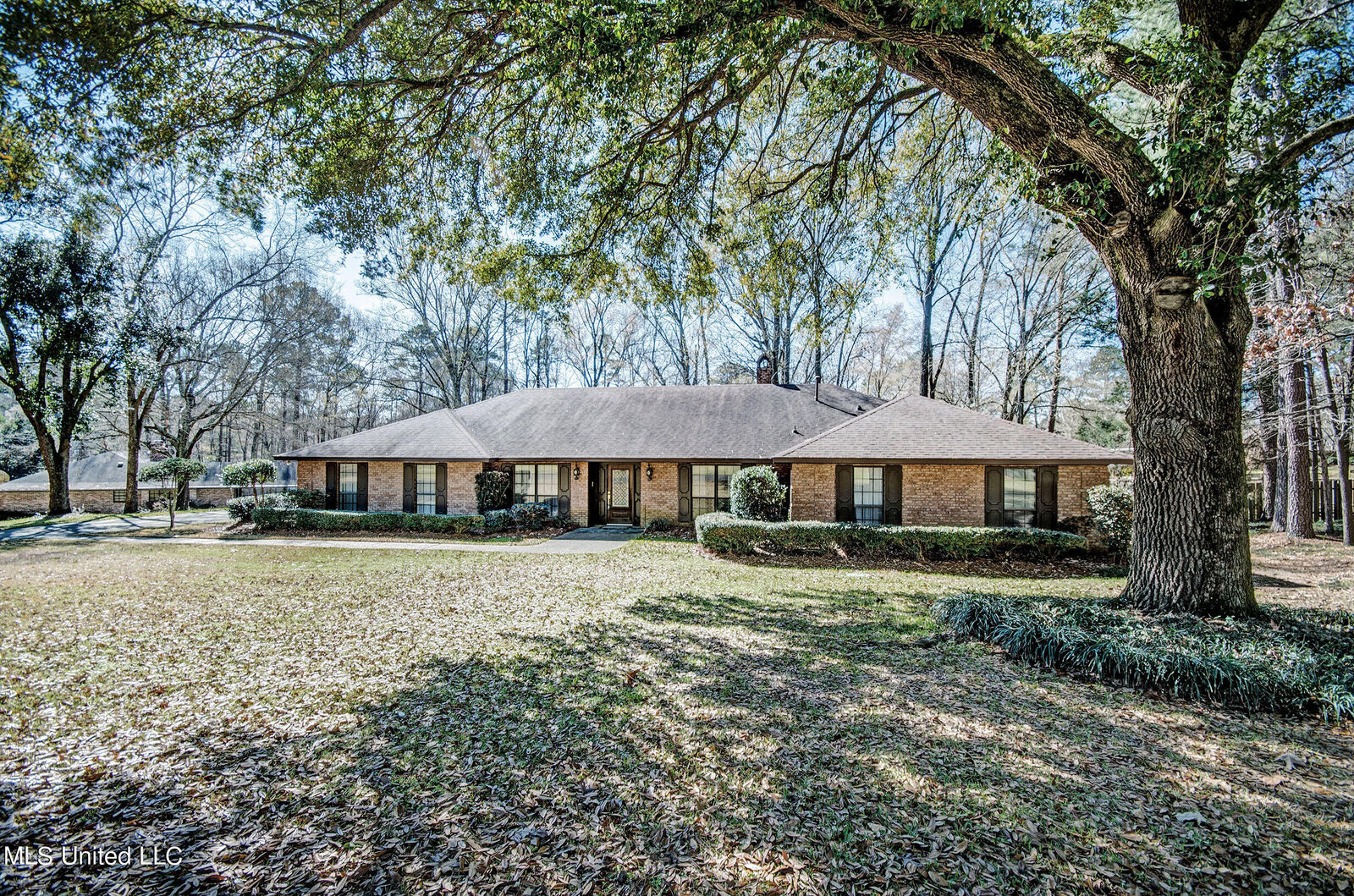 Property Photo:  603 Trailwood Drive Drive  MS 39056 