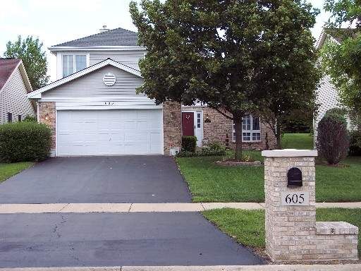 Property Photo: 605 Rose Ln IL 60103
