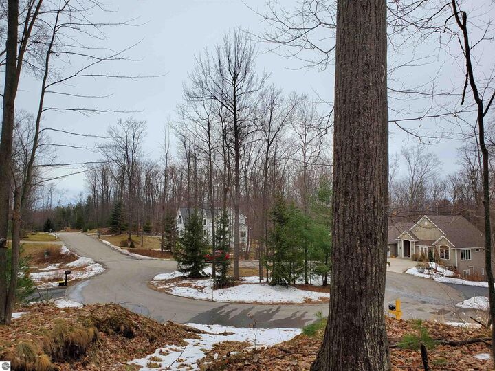 4139 Cranberry Lane  Williamsburg MI 49690 photo