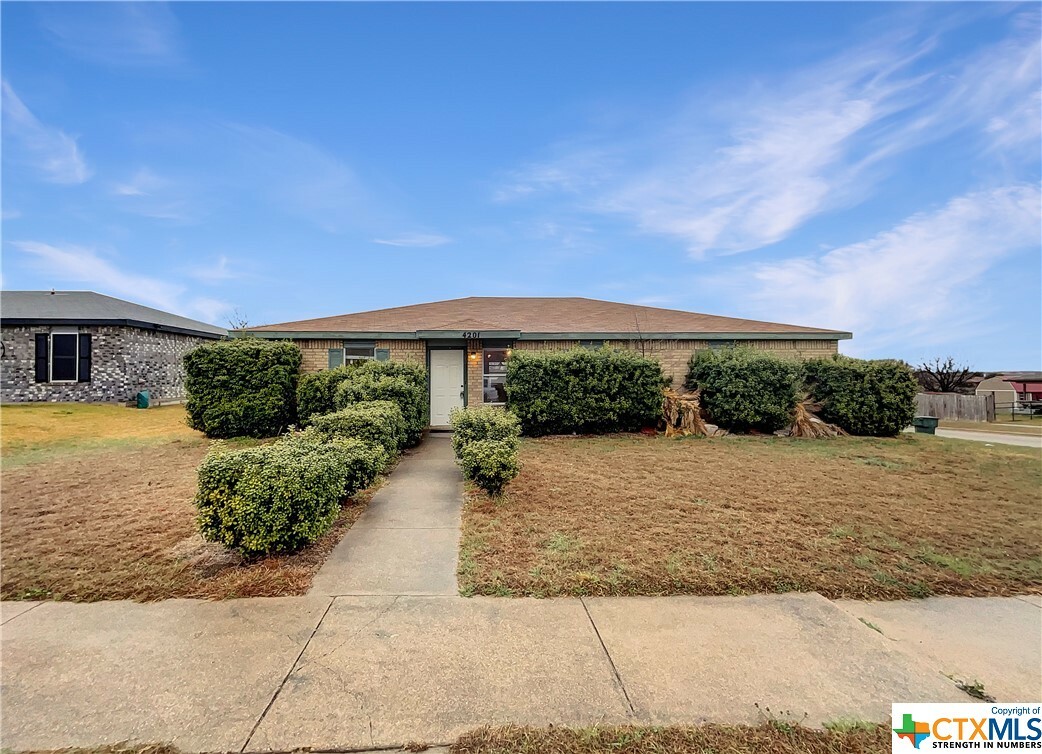 Property Photo:  4201 Beach Ball Drive  TX 76549 