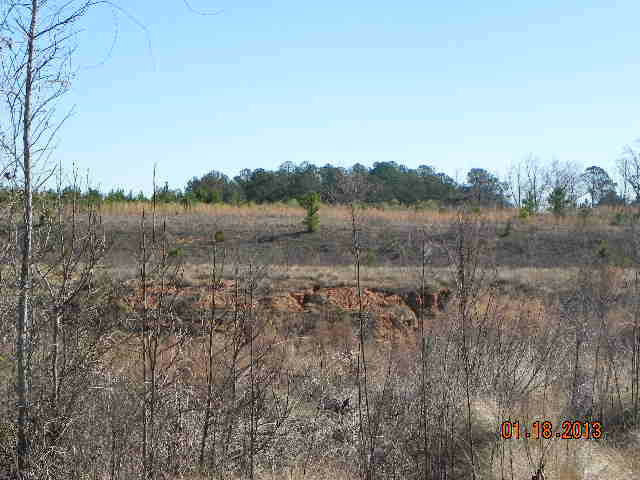 000 Adams Reeves Road  Dearing GA 30808 photo