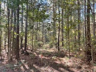 Property Photo:  Lot 4 Big Lake Road  LA 71360 