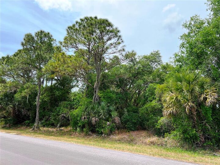 Property Photo:  835 Bowman Terrace  FL 33953 