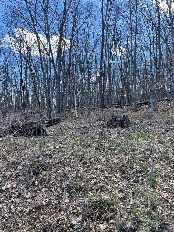 Property Photo: 13 Pine Lane AR 72631