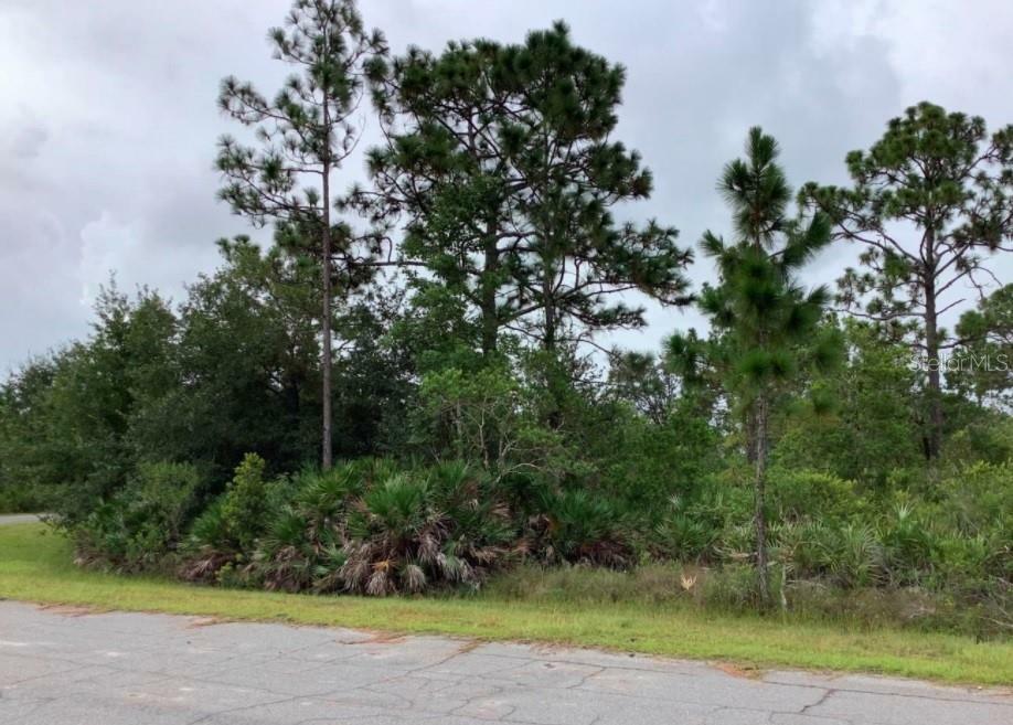 Property Photo: 0 Ortega Street FL 32833