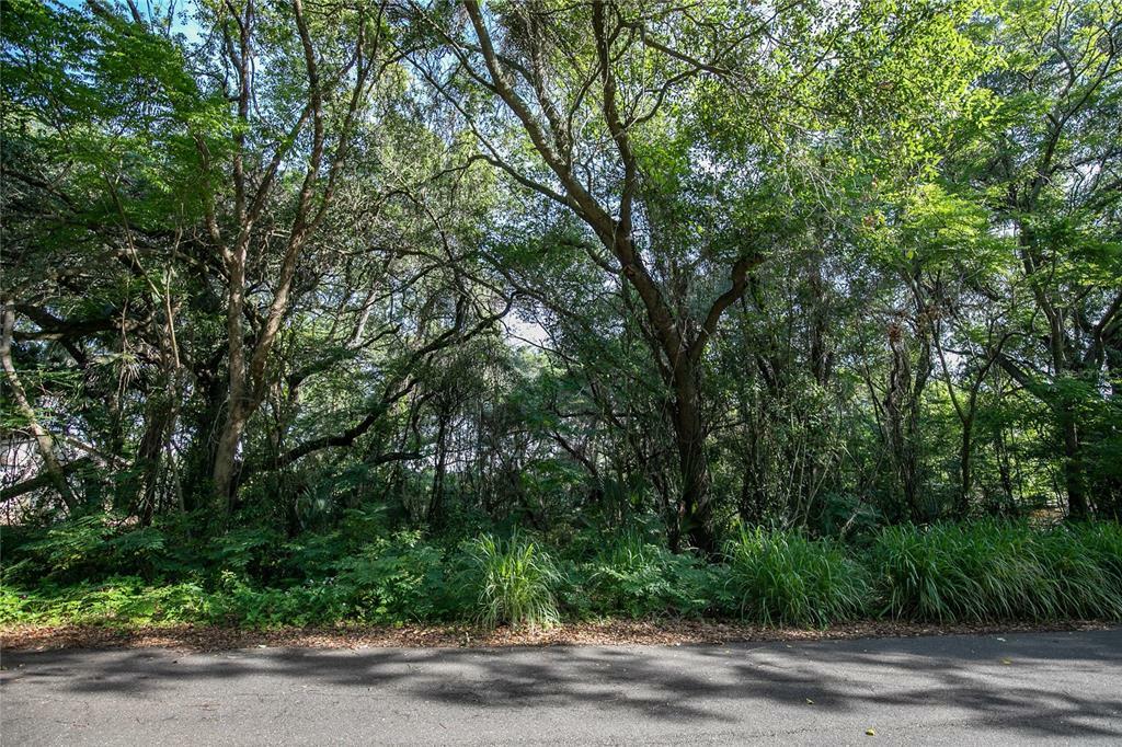 Property Photo:  Craft Road  FL 33511 