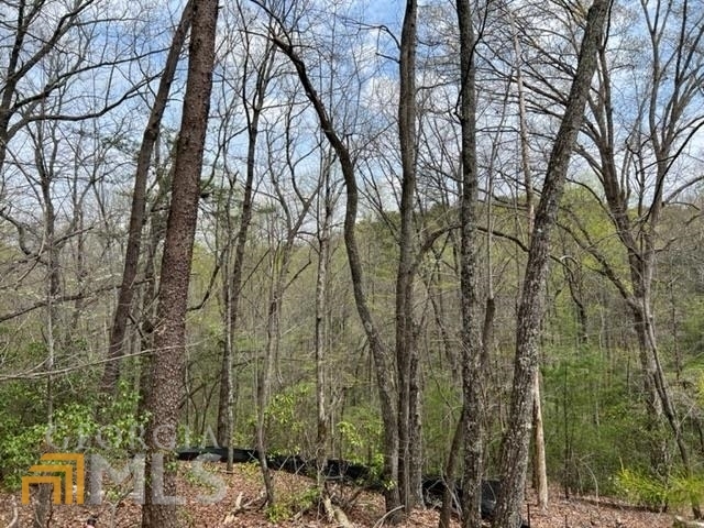 Property Photo: 469 Blazingstar Trail GA 30143
