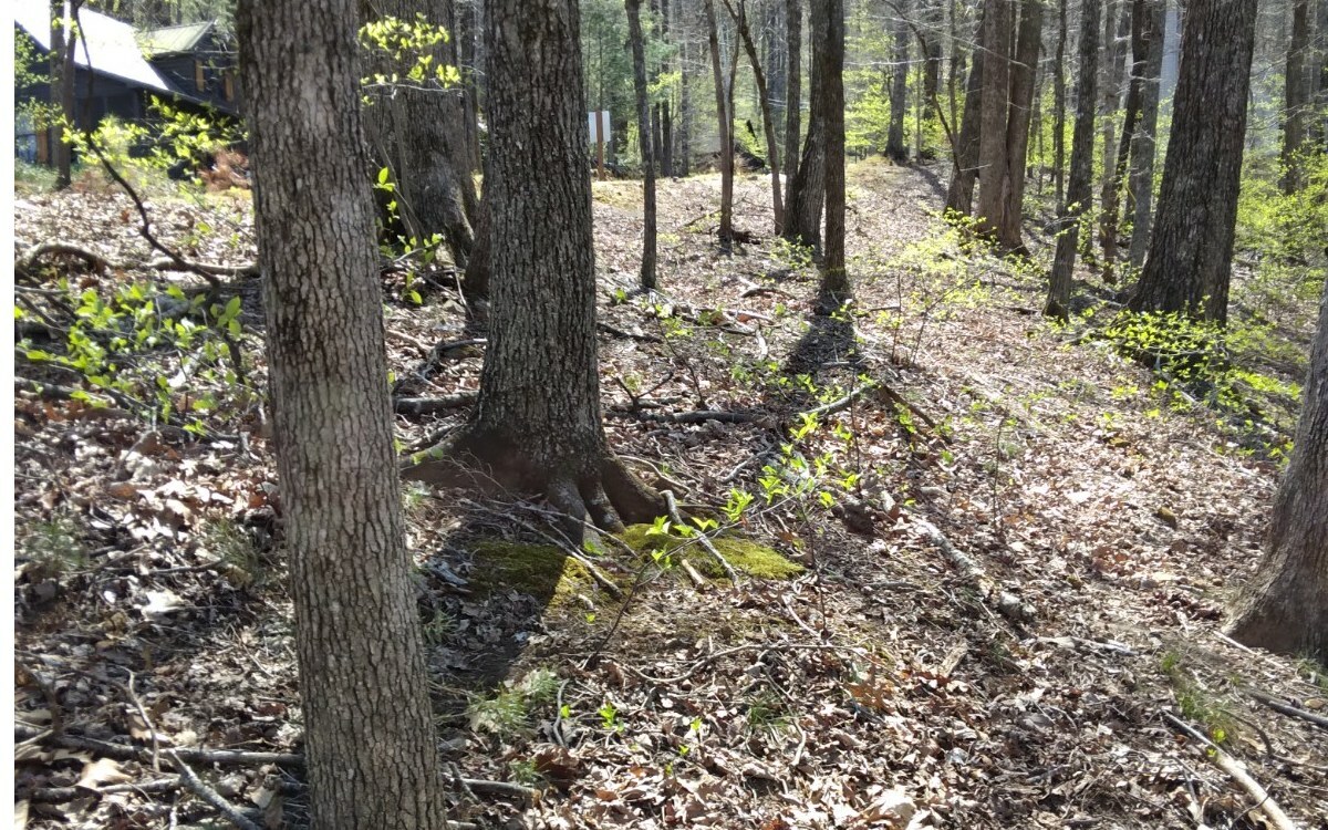 Property Photo: M100 Skyview Drive GA 30536