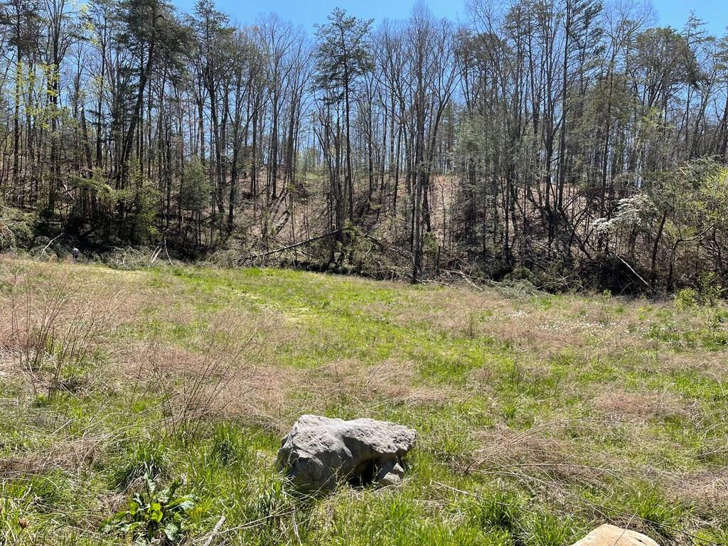 Property Photo: 2311 Price TN 37876