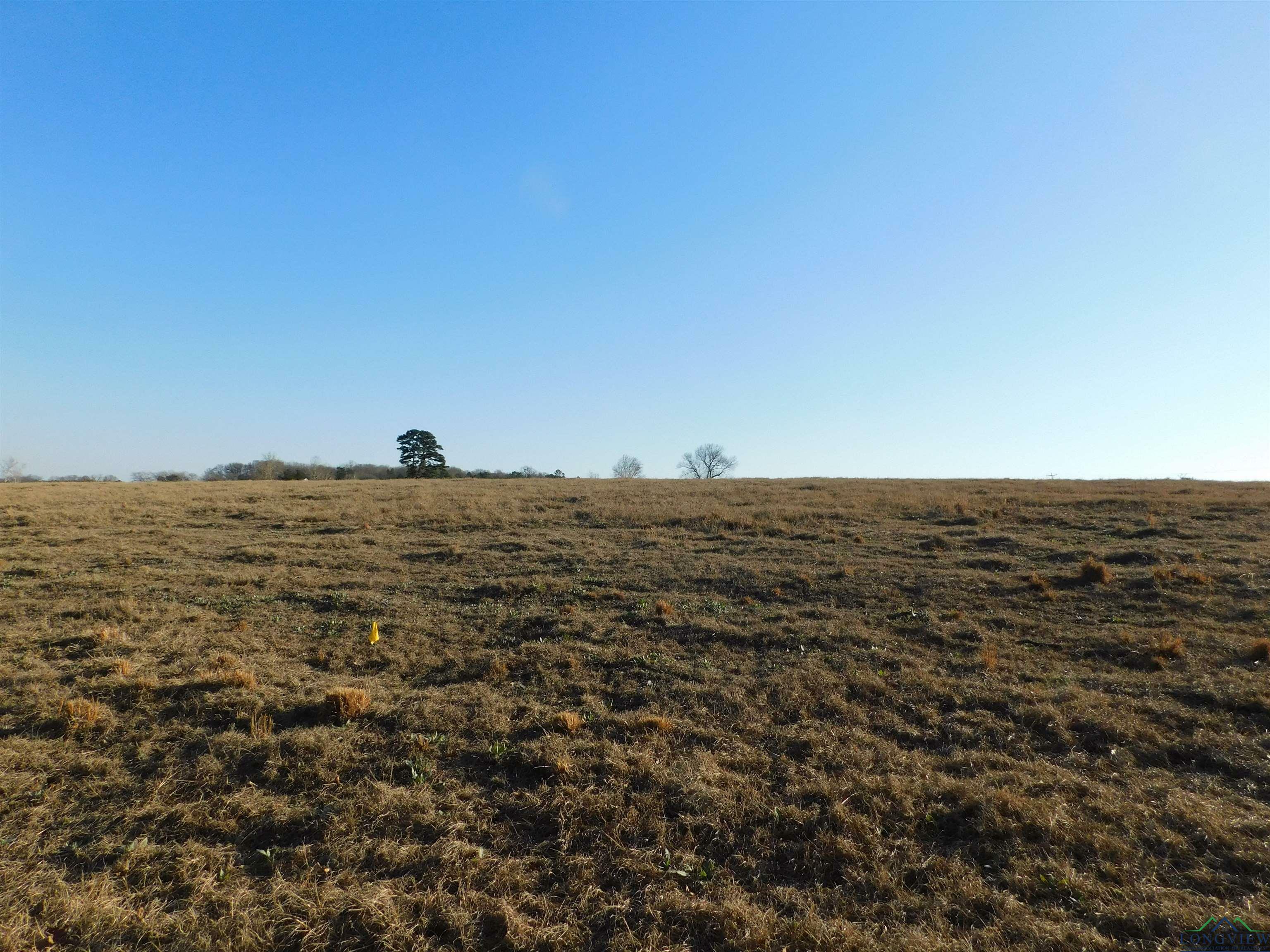 Property Photo:  Tbd Cr 3211  TX 75686 