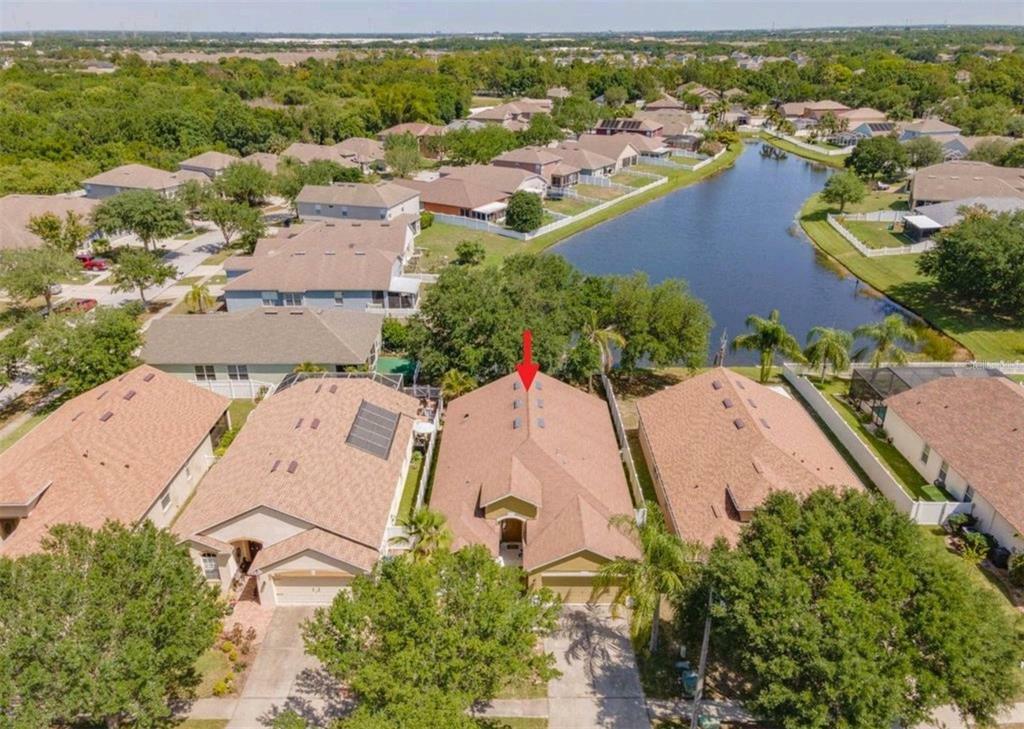 Property Photo:  8906 Sandy Plains Drive  FL 33578 