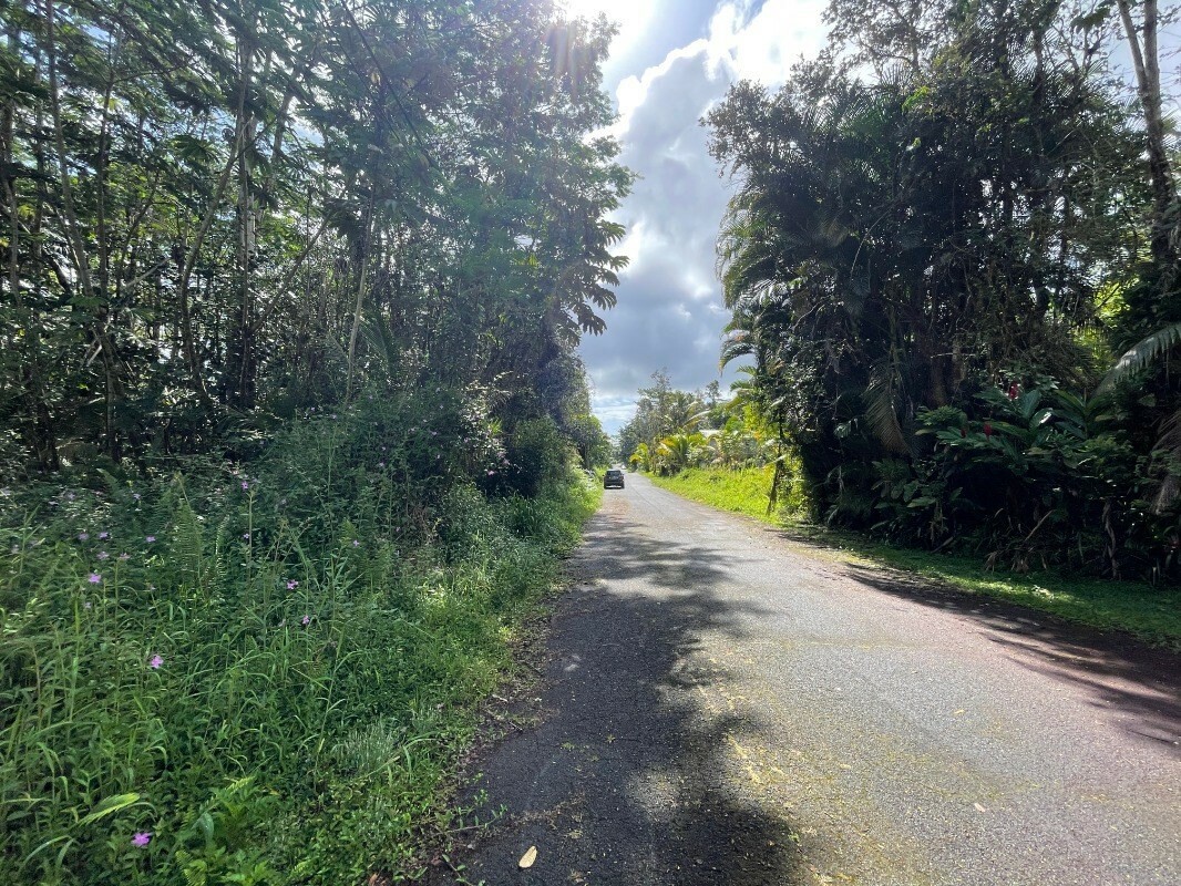 Property Photo:  Donnybrook Ln  HI 96778 