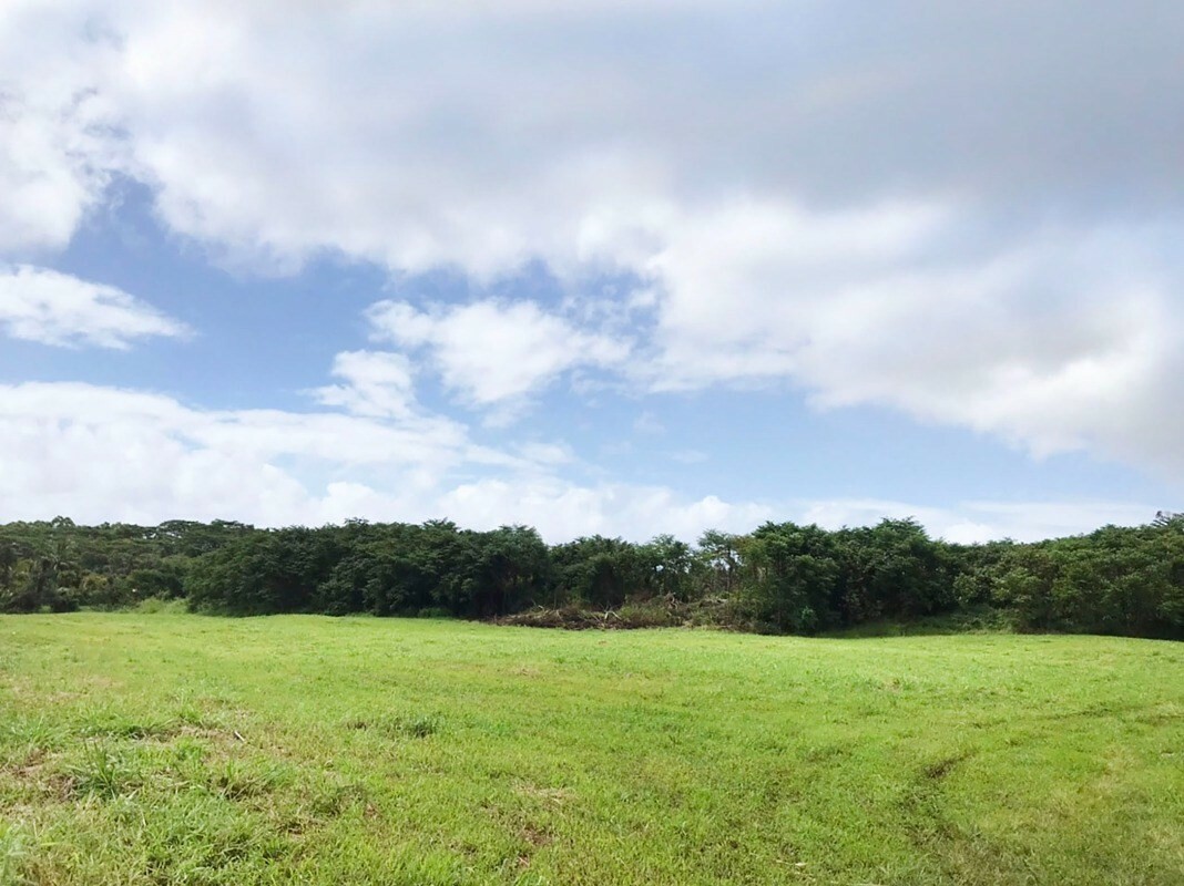 Opihikao Rd  Pahoa HI 96778 photo