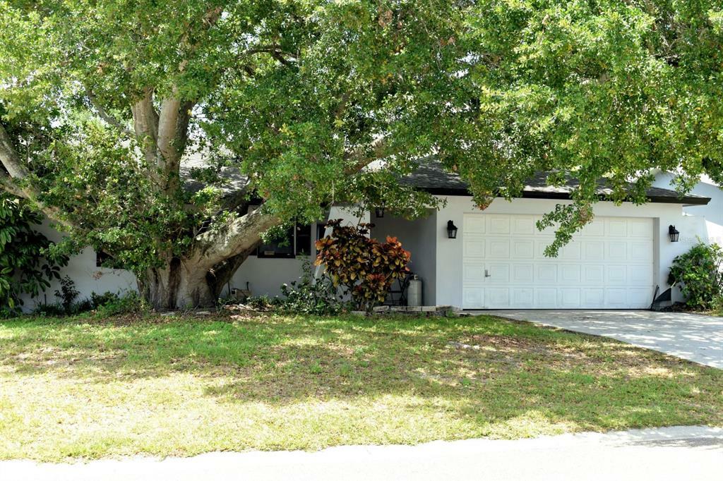 Property Photo:  817 Karen Street  FL 34684 