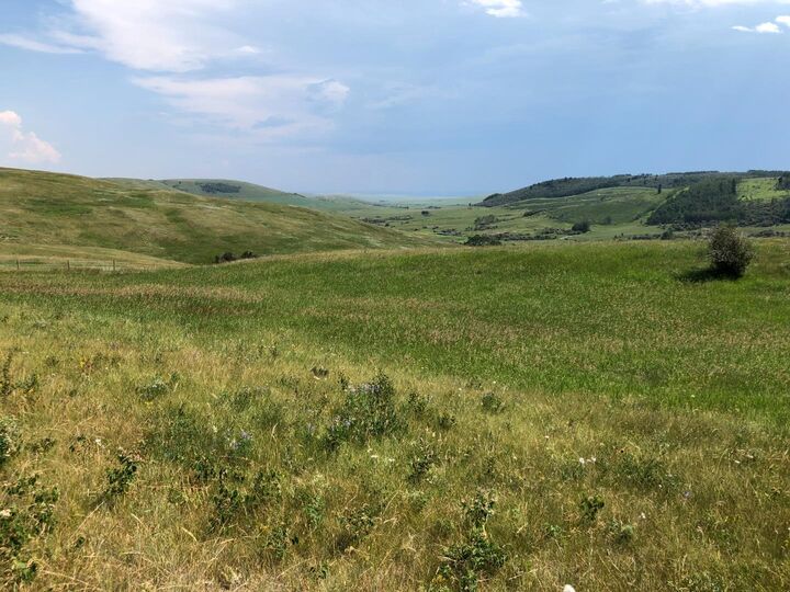 Property Photo: 151243 Basin Road AB T0L 1R0