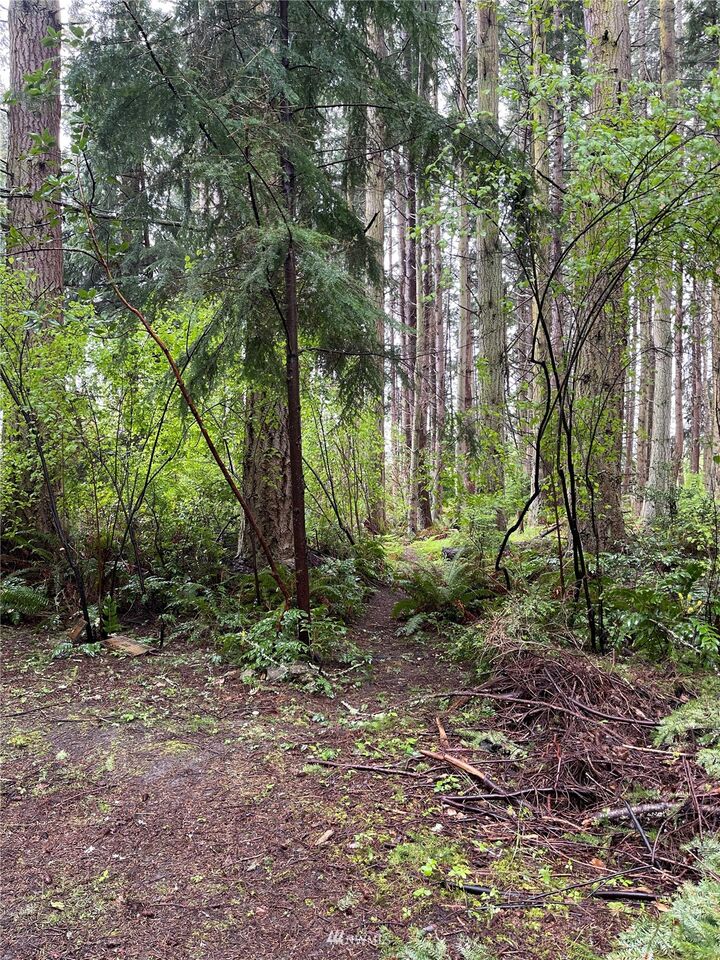 0 Violet Street  Freeland WA 98249 photo