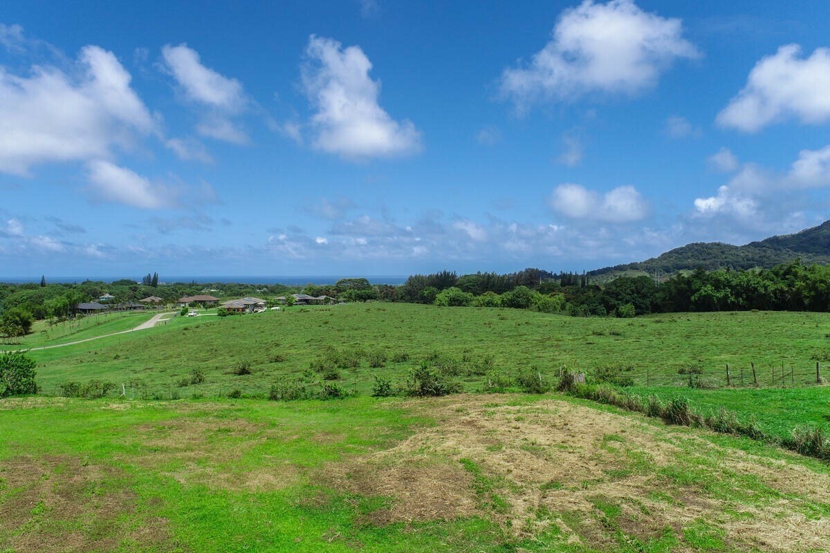 Hauiki Rd  Kapaa HI 96746 photo