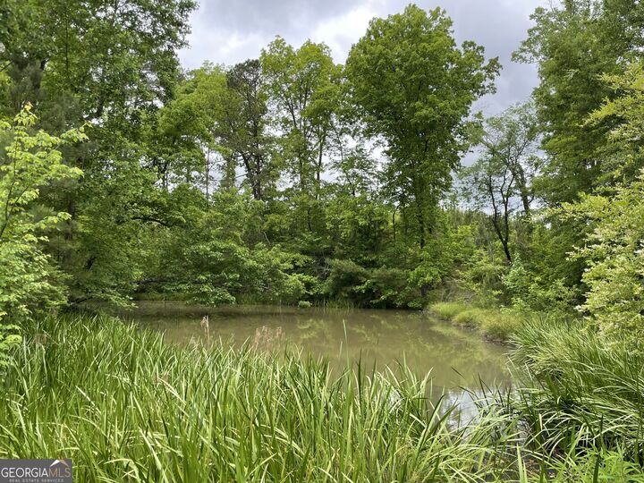 Property Photo:  216 McMichen Road  GA 30157 
