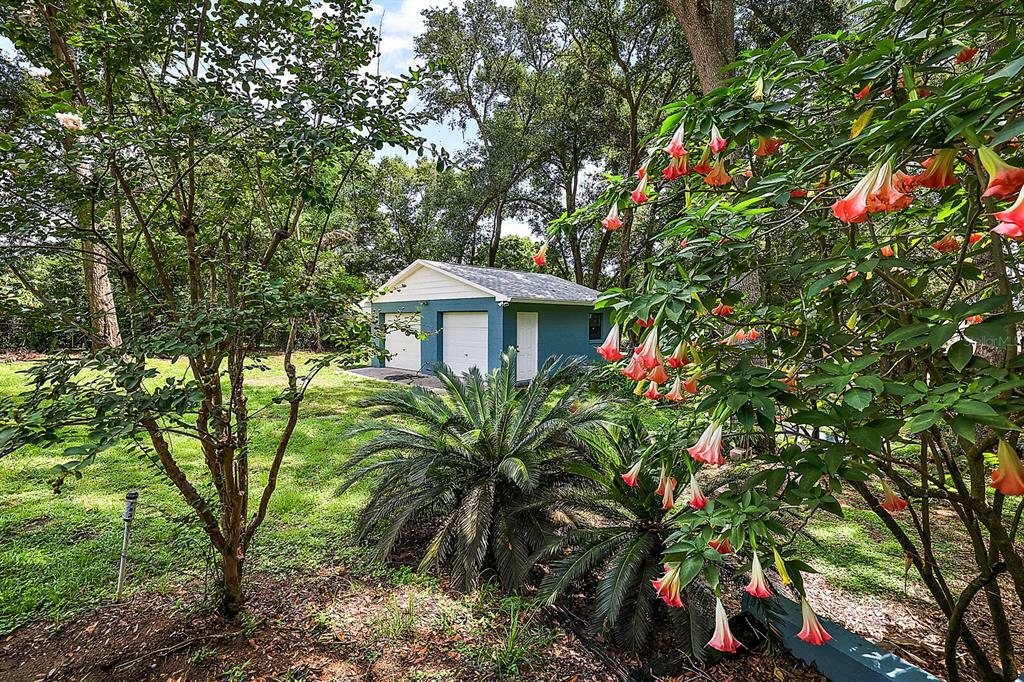 Property Photo:  1449 Irma Road  FL 32726 