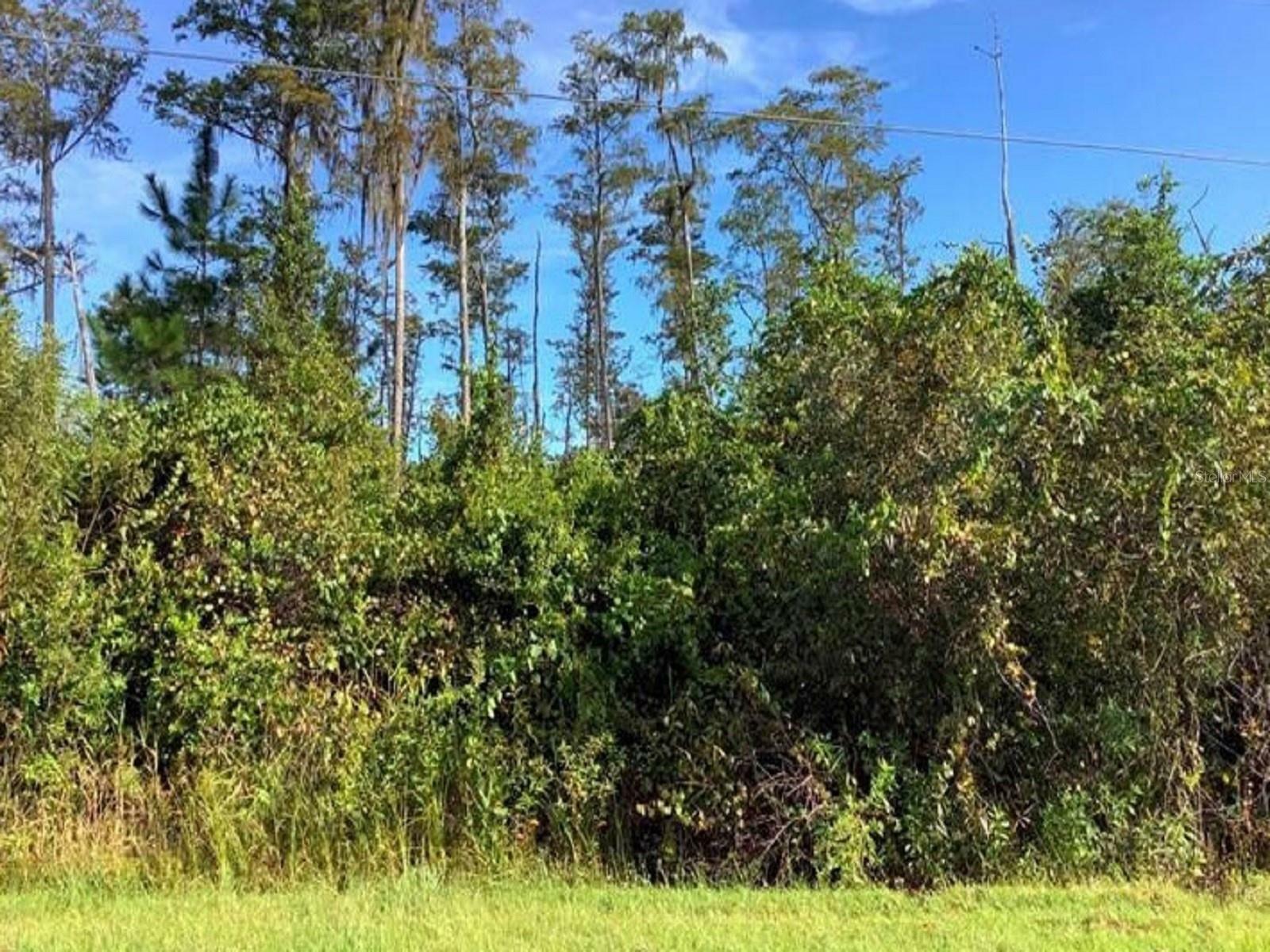 Property Photo: Paddock Street FL 32833