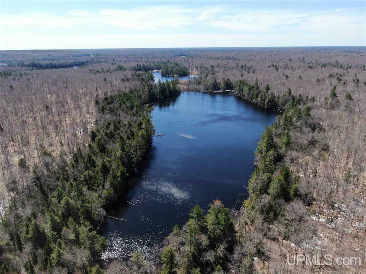 Property Photo: 0 Rhody Cr Truck Trail Carter Lake Rdp MI 49839
