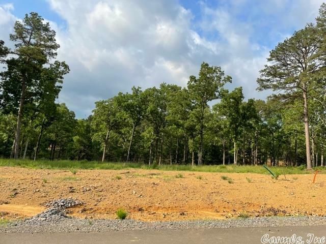 Orchard Hill Lot 16 Ph 3  Conway AR 72034 photo