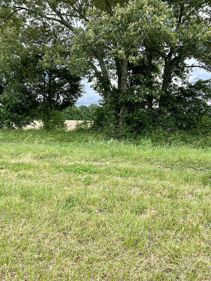 Property Photo: 0 Herman Rd TN 37166