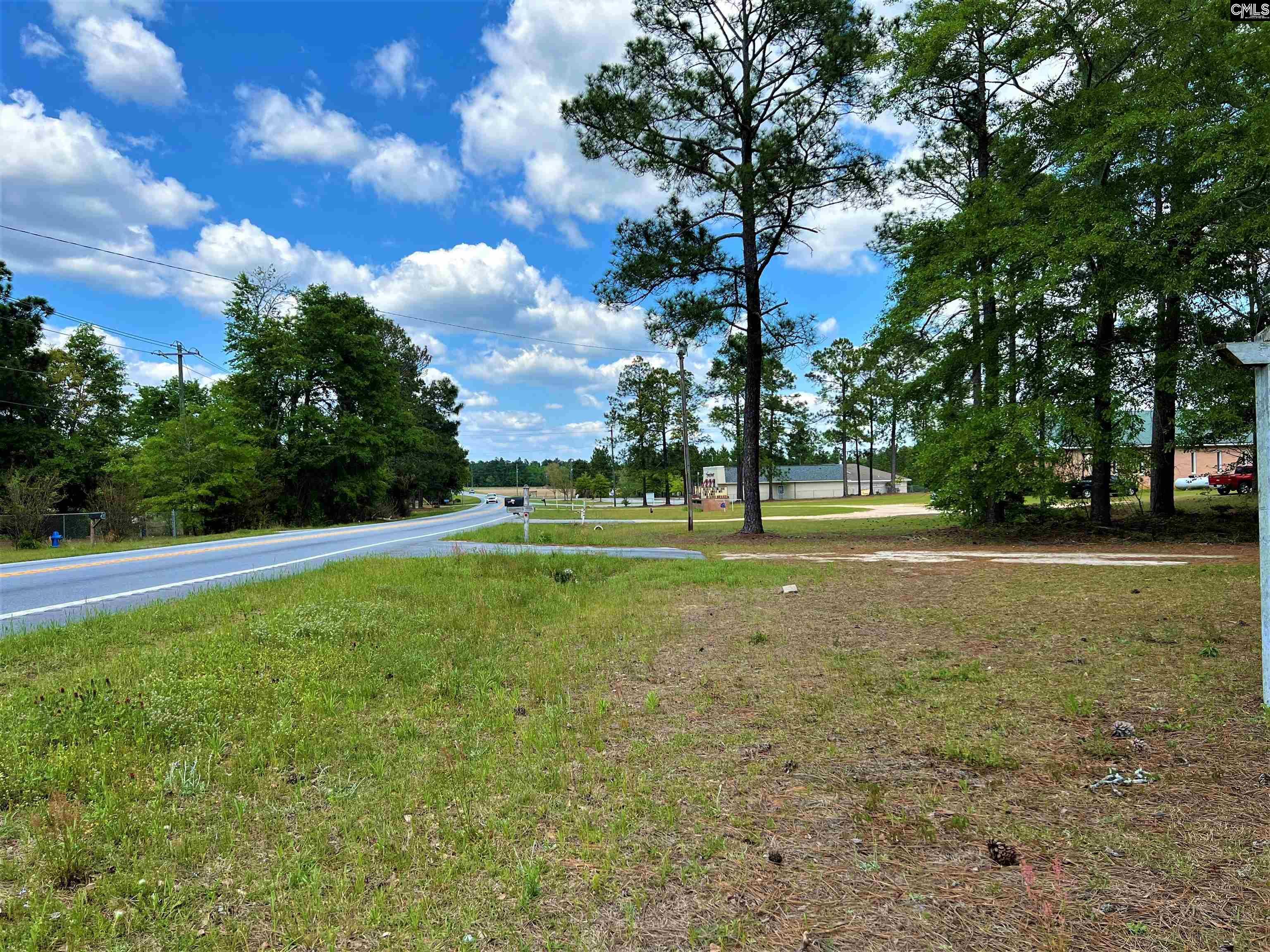 Property Photo:  223 Pine  SC 29123 