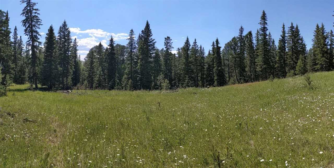 Tbd Silver Belt Deer Mountain Road  Lead SD 57754 photo
