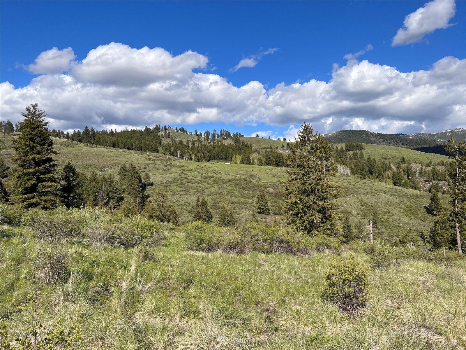 Property Photo:  0 Lot 35 Wildman Road  WA 99166 
