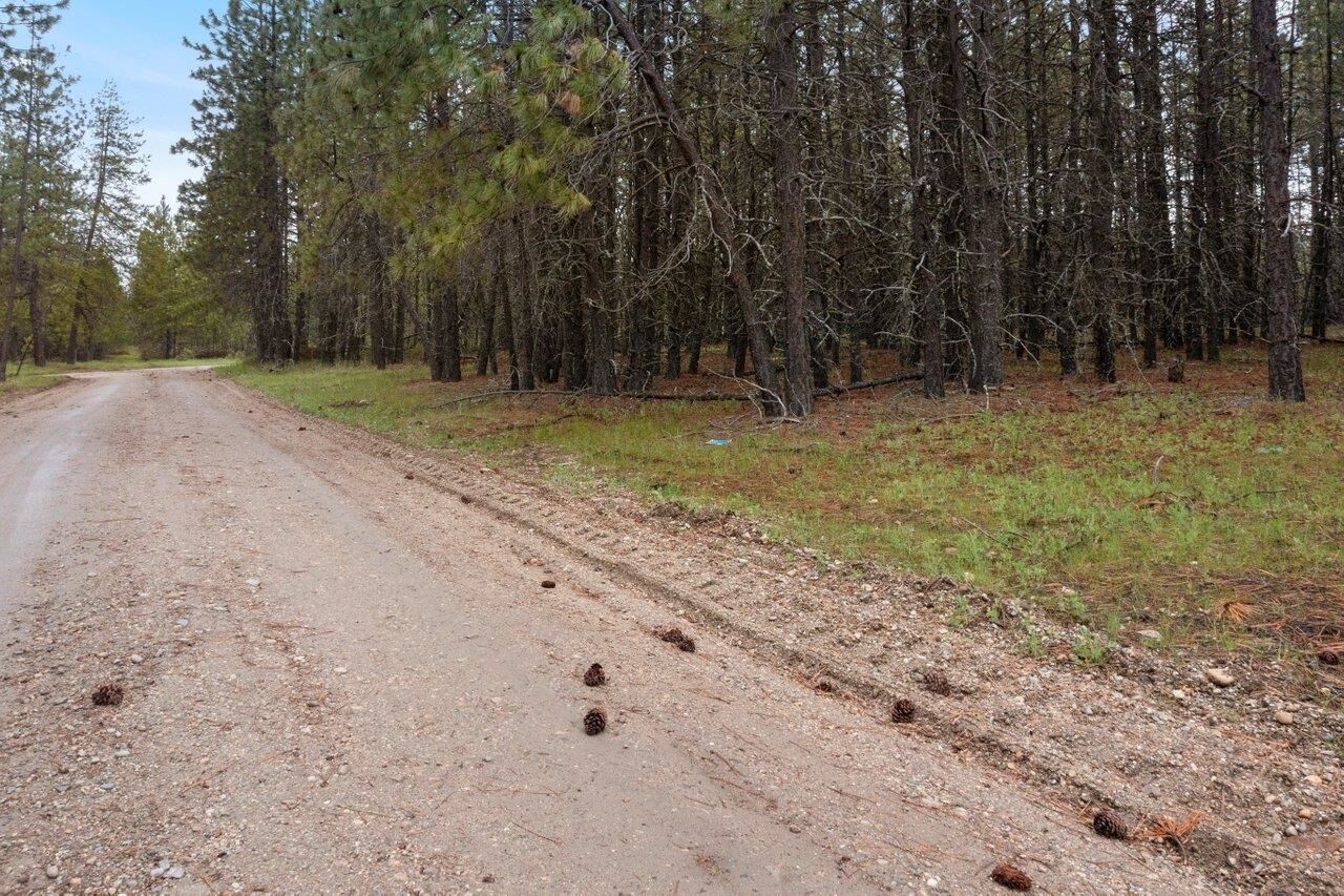 Property Photo: 51xx E Elk To Highway Rd WA 99009