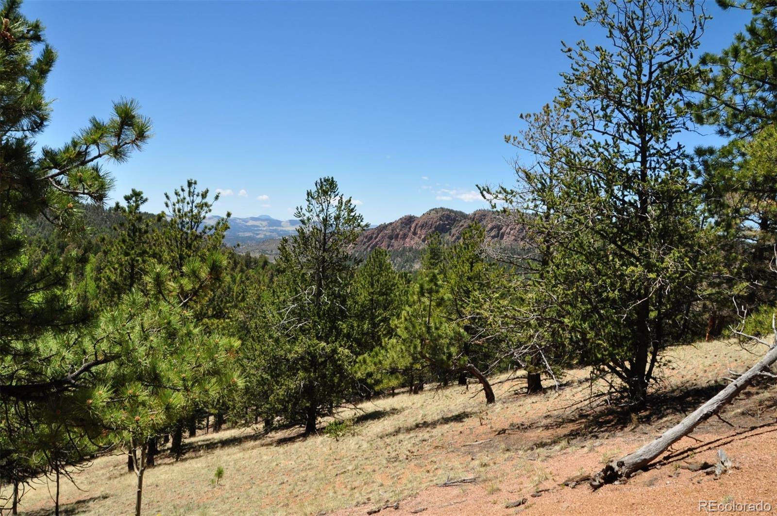 Property Photo:  551 Troy Drive  CO 80813 