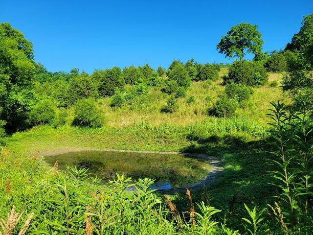 13240 Georgetown Road  Stamping Ground KY 40379 photo