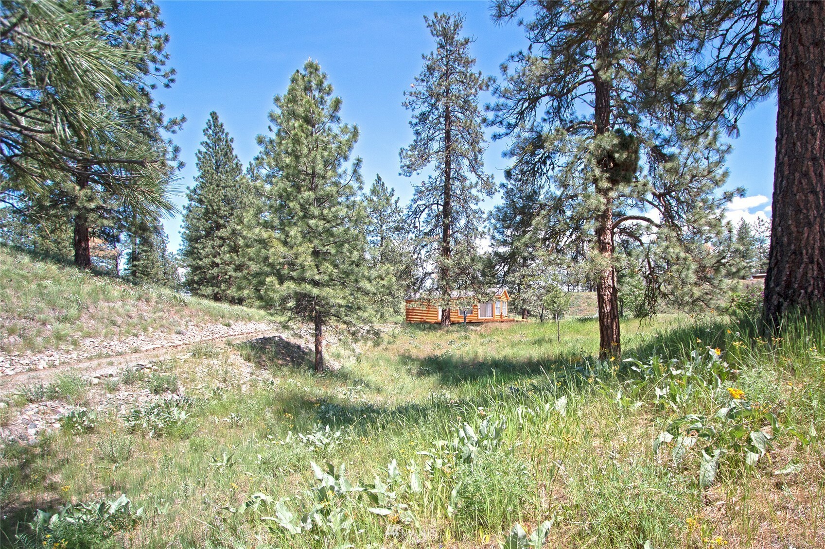 Property Photo:  11 Mertensia Road  WA 98862 