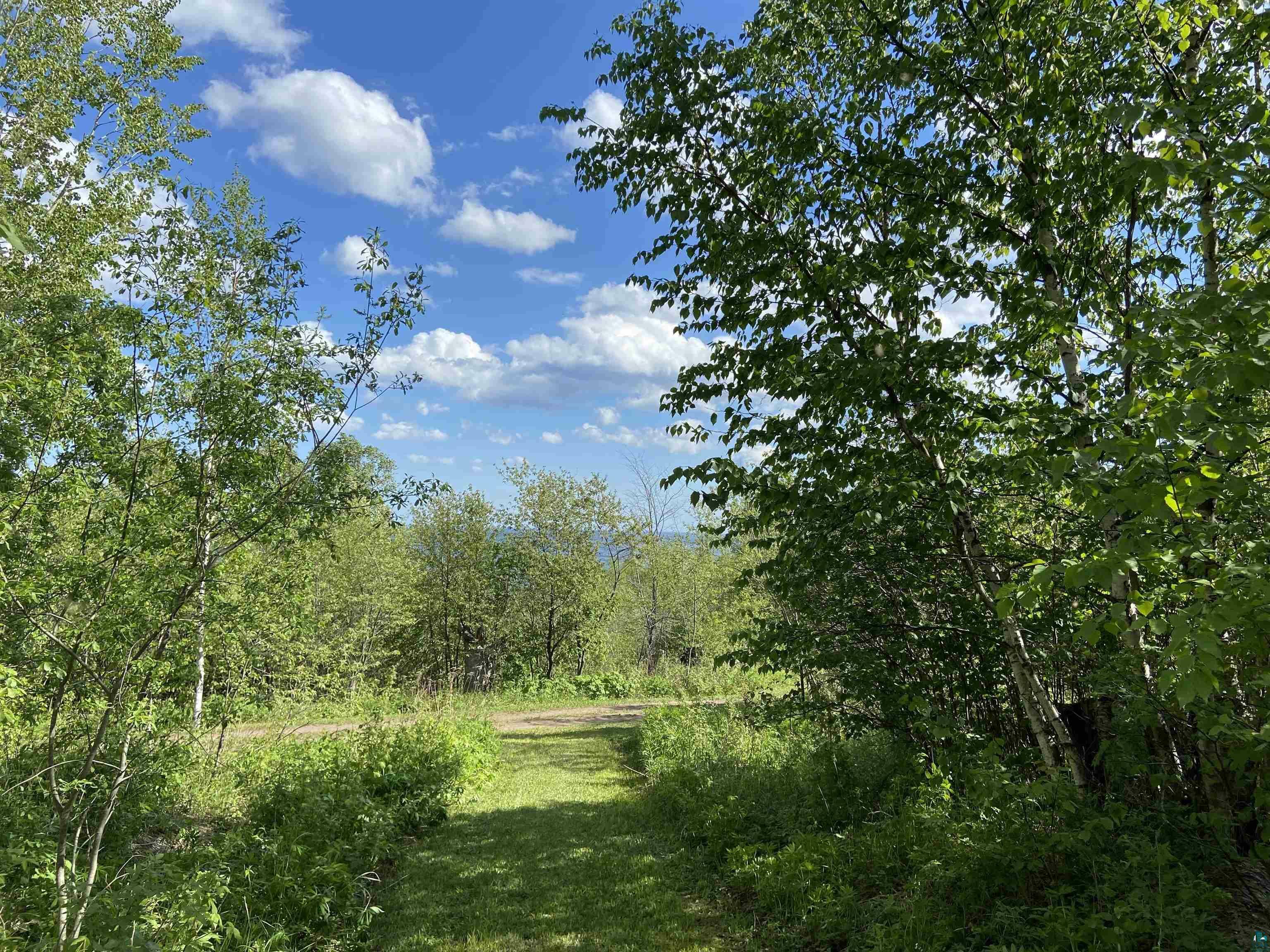 Property Photo:  6381 Foggy Hill Rd  MN 55603 