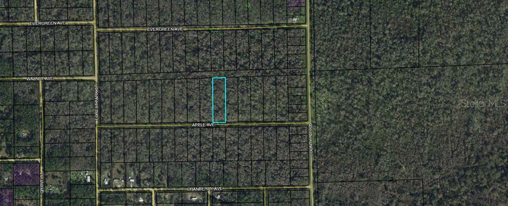 Property Photo:  3682 Apple Avenue  FL 32110 