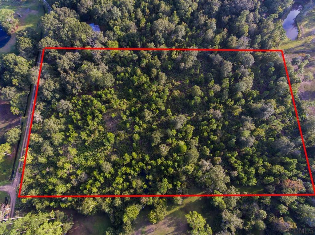 Property Photo: 00 Palmetto Avenue S FL 32110