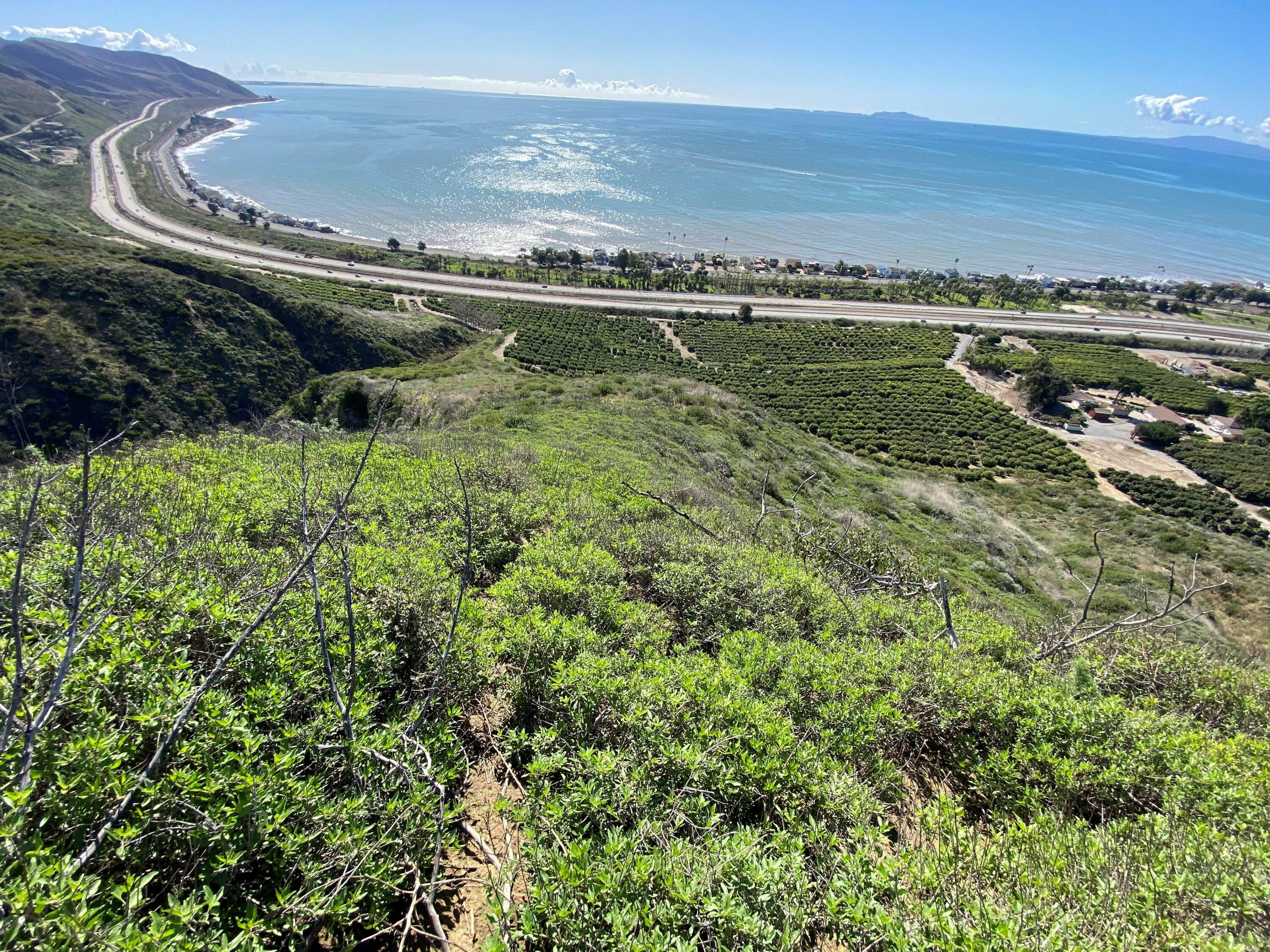 Property Photo: 3945 Pacific Coast Highway CA 93001