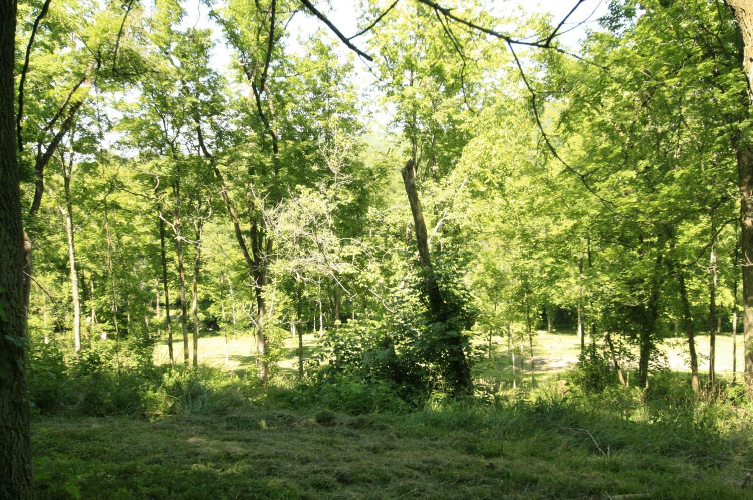 Property Photo: 0 River Rd 8.408 Ac OH 45030
