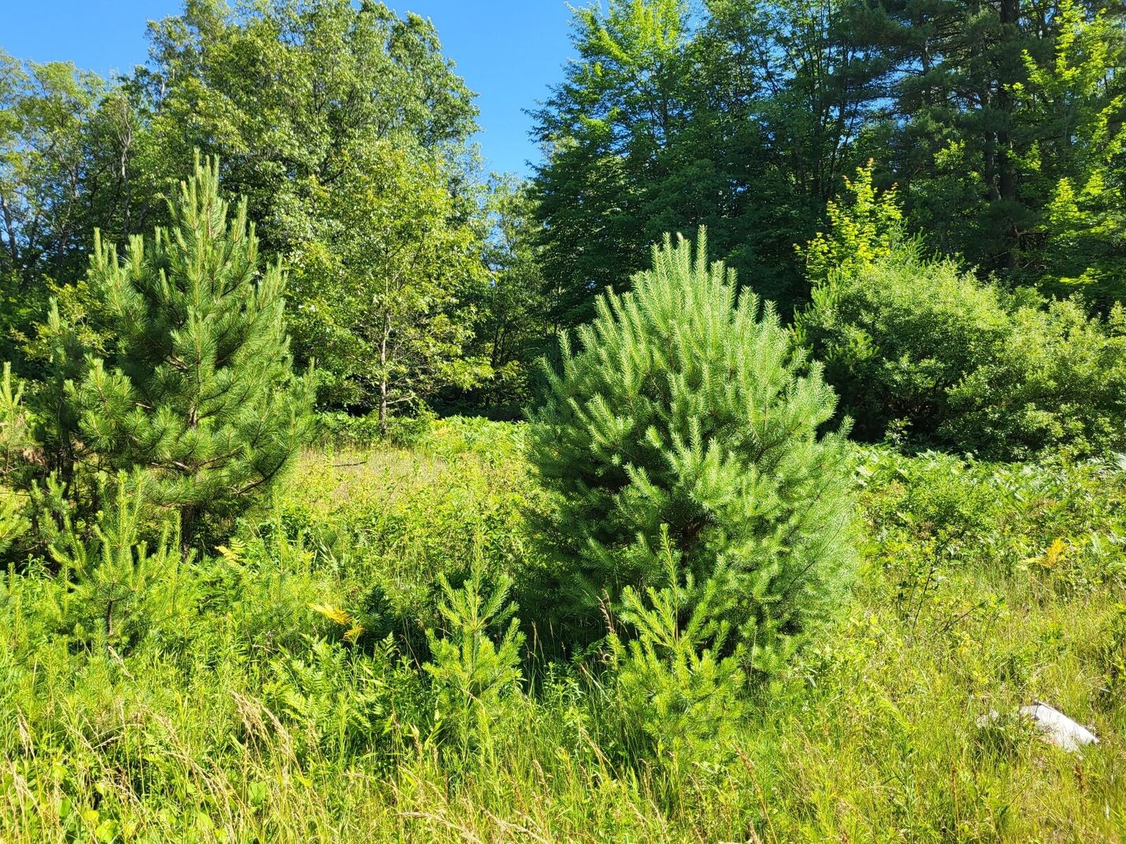 Property Photo:  0 Duck Creek Lane  MI 49461 