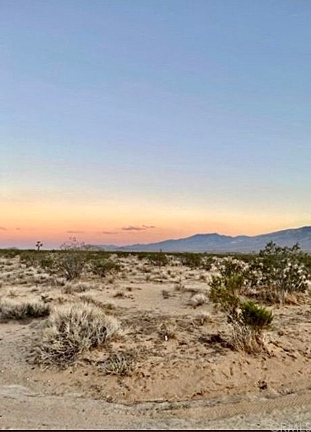 Property Photo: 0 Wilhire Road CA 92356