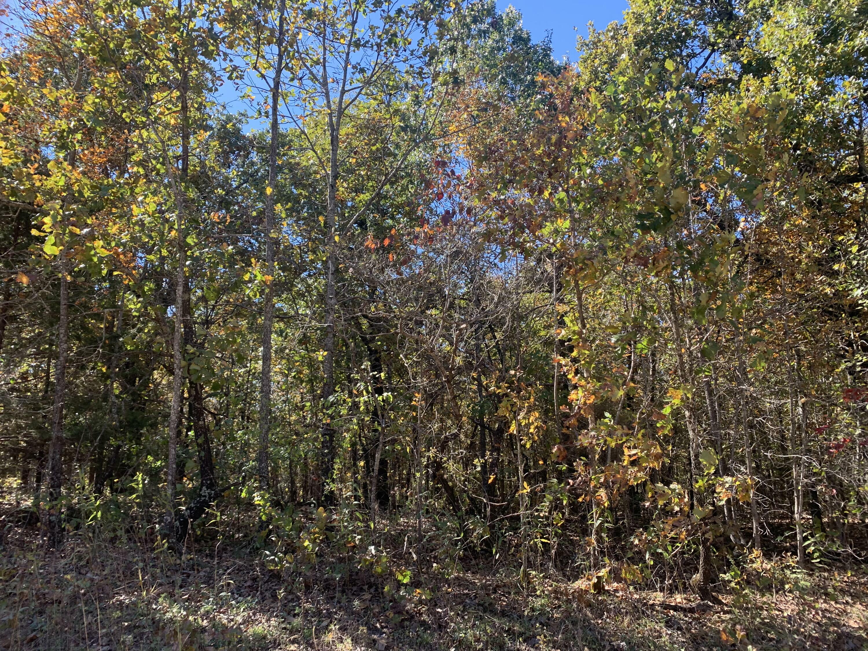 Property Photo:  000 Nubbin Ridge Road  AR 72459 