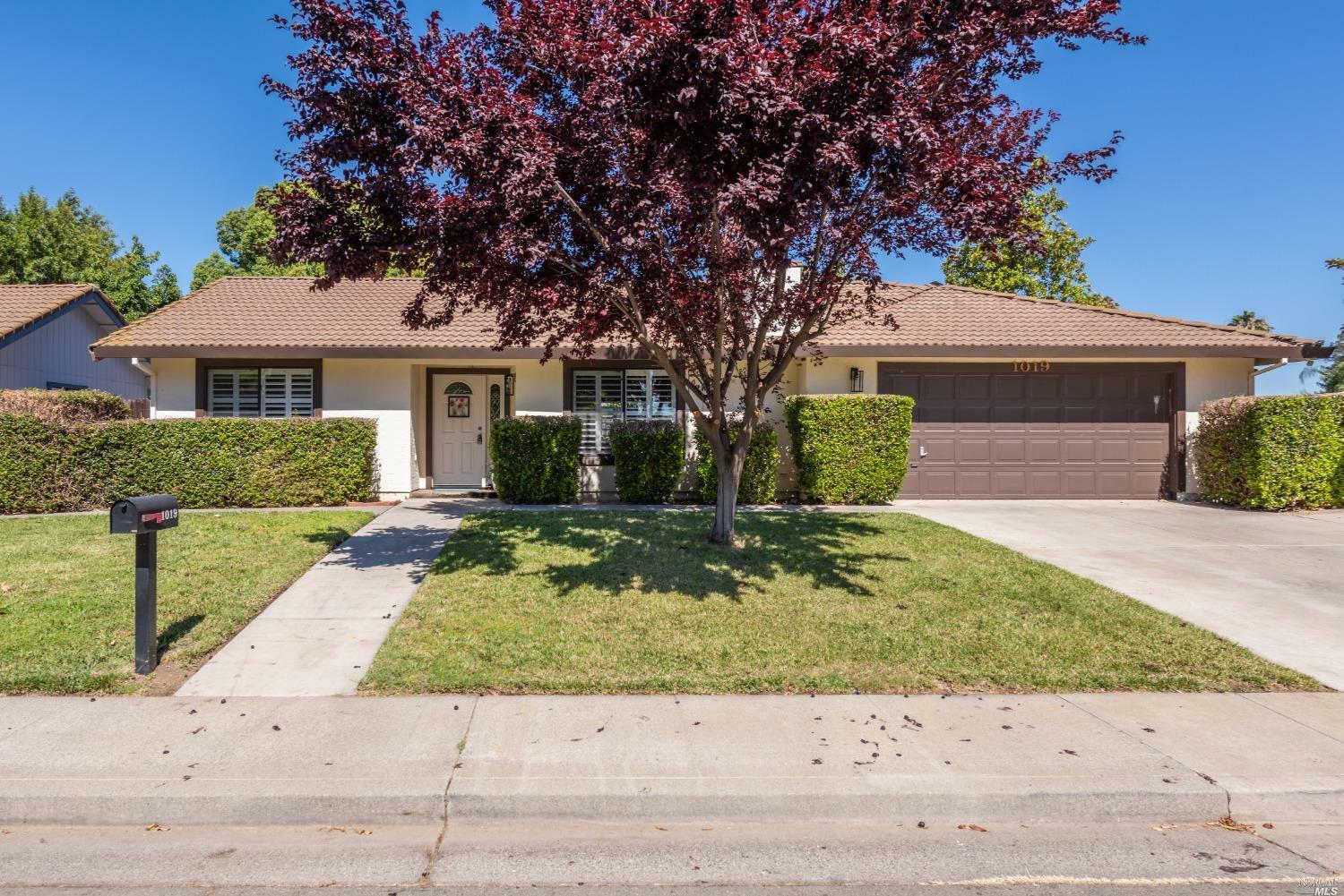 Property Photo:  1019 Parkgreen Drive  CA 95620 