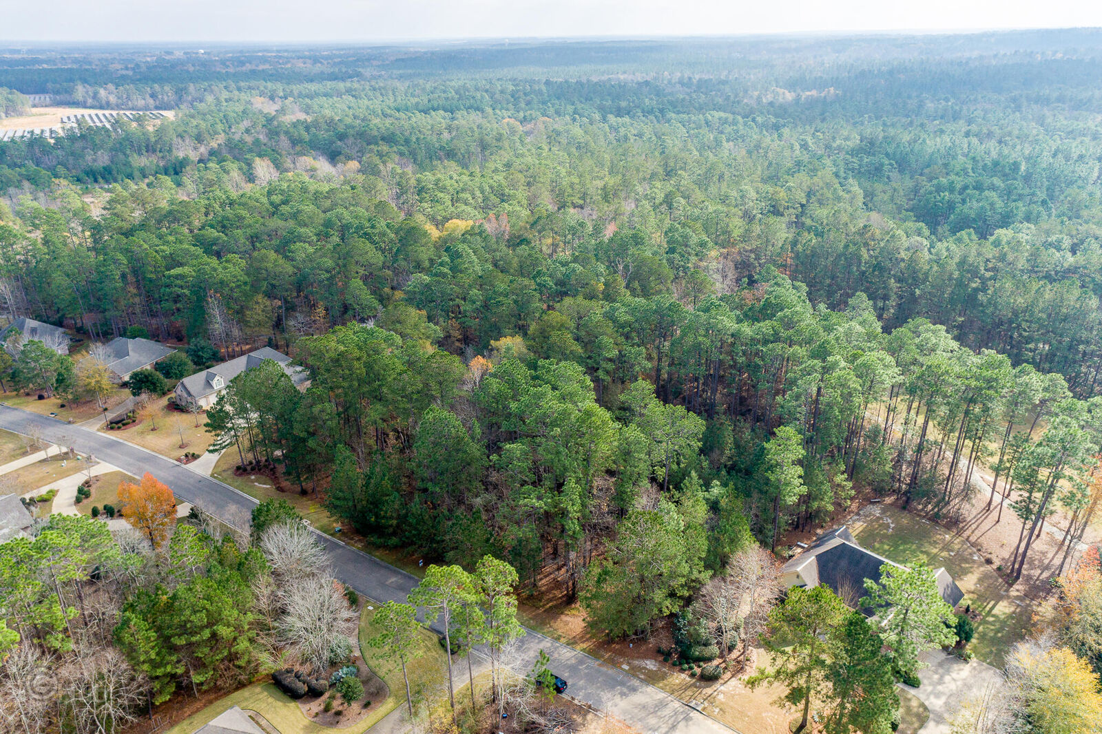 Property Photo:  Lot 163 St. Annes  MS 39401 