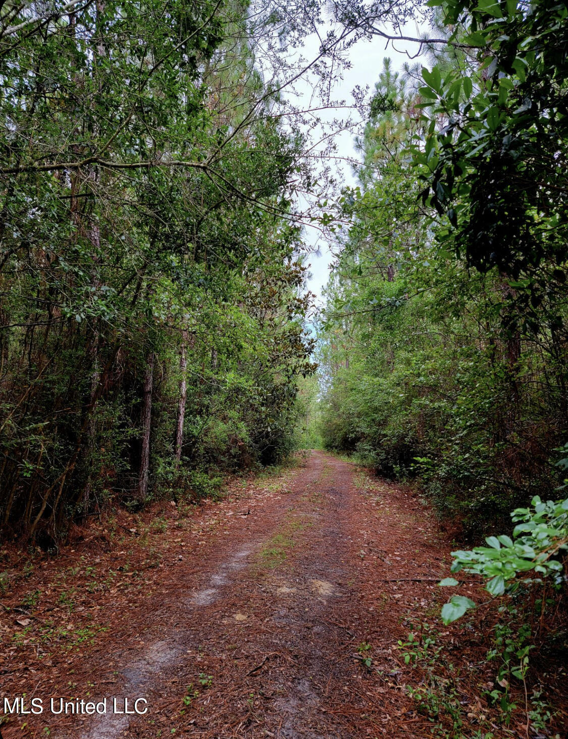 McGregor Road  Vancleave MS 39565 photo