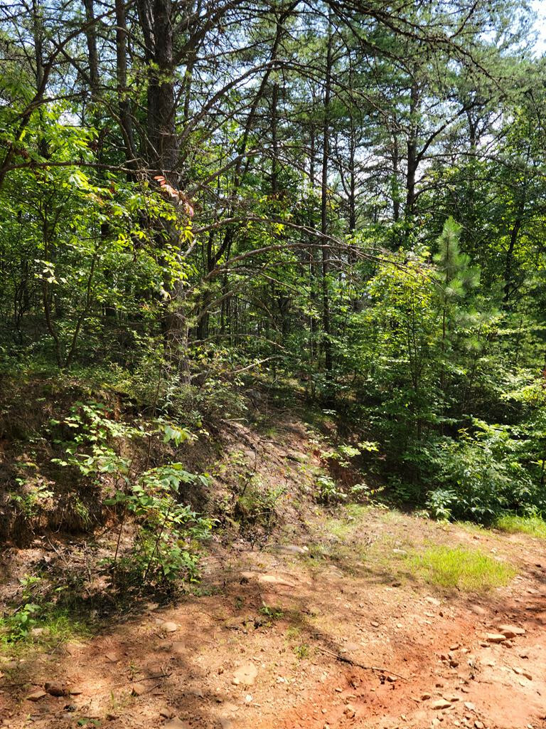 Property Photo:  Lot 21 Belaire Drive  TN 37317 