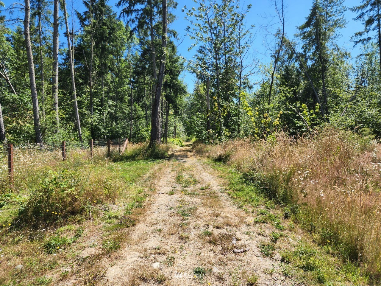 Property Photo:  0 Chuckawa Lane SE  WA 98597 