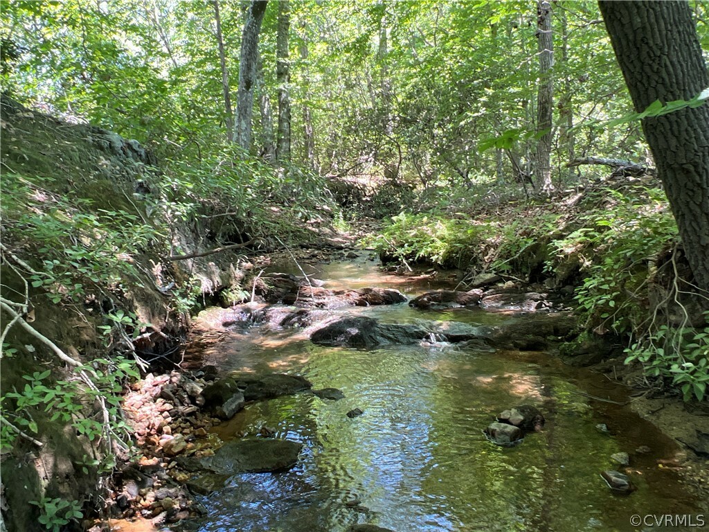 Property Photo:  Tbd Twin Creek Road  VA 23921 